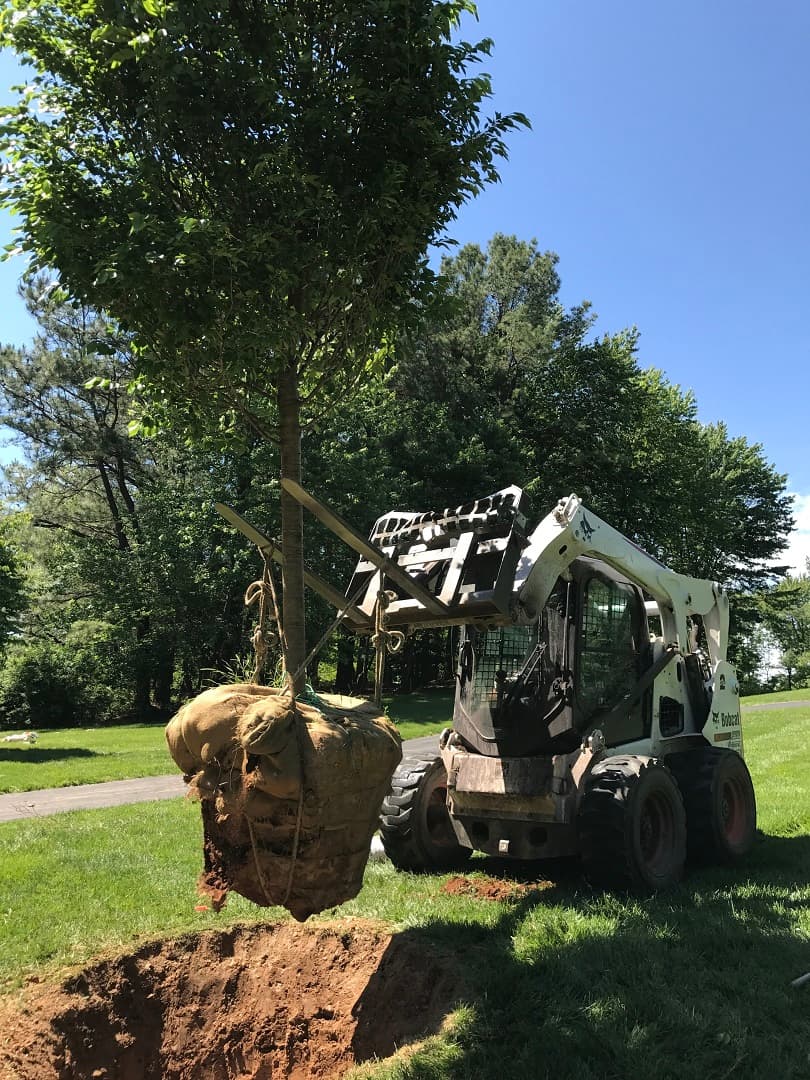 Tree Stump Got You Stumped?