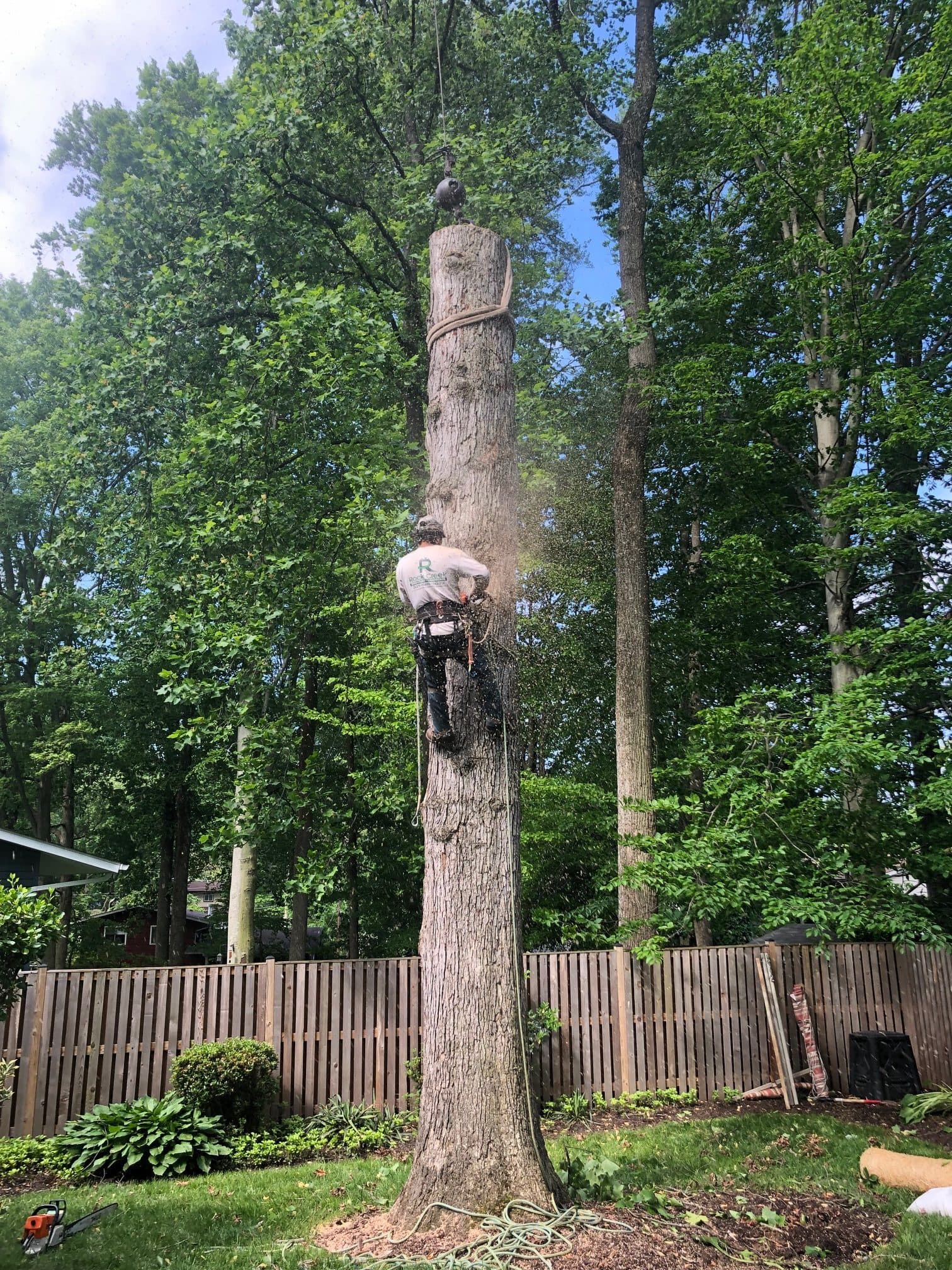 The rock creek crew removing a tree