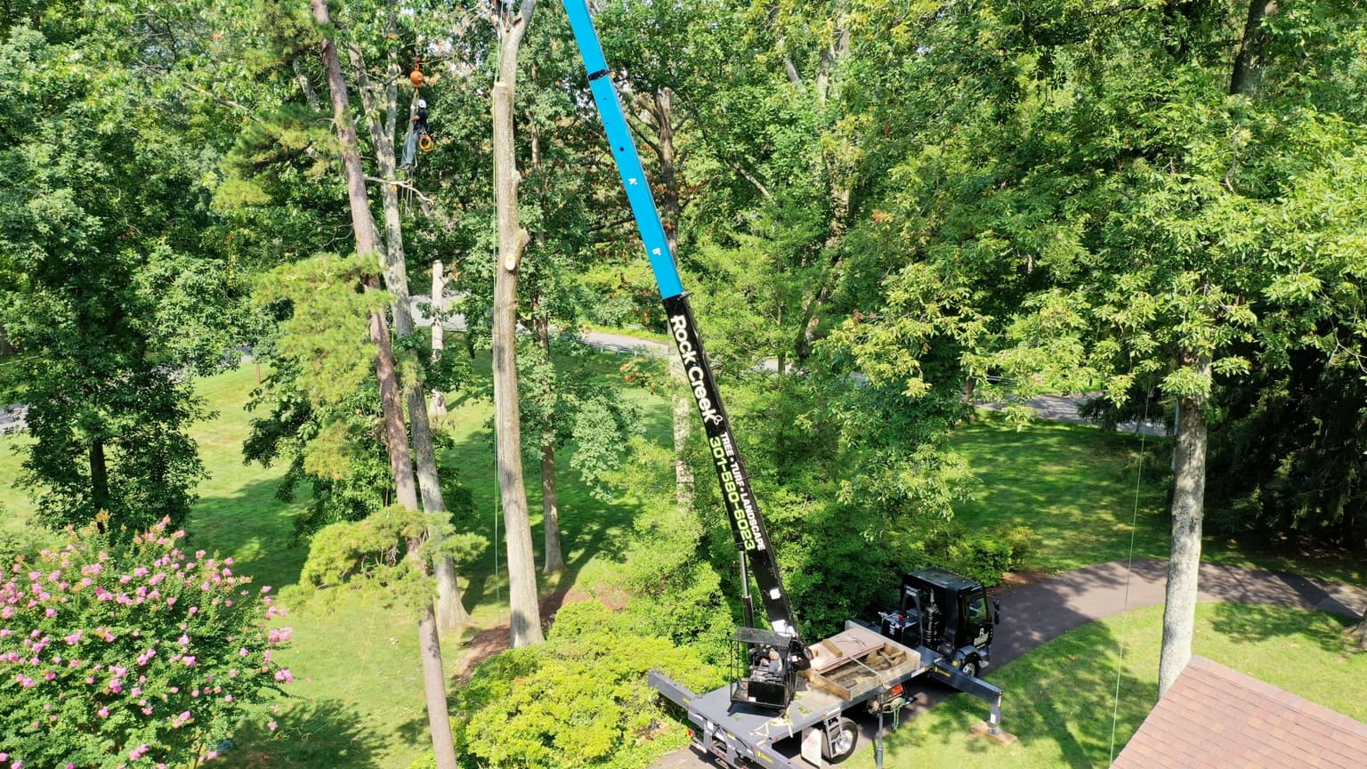 Are Your Trees A Danger? Emergency Tree Service Can Assess That Quickly