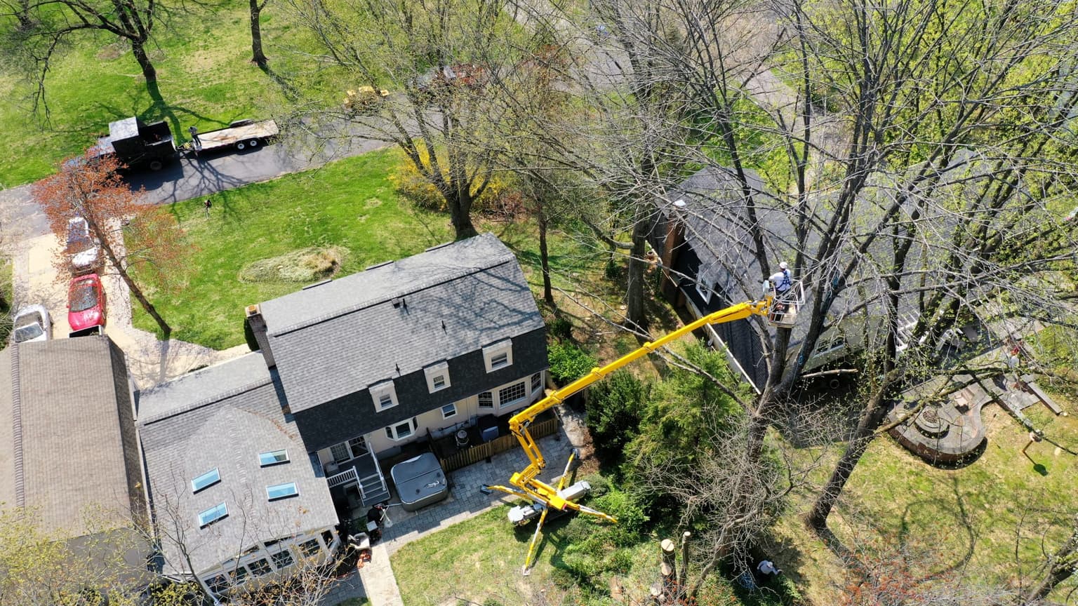 Emergency Tree Removal – The Do’s and Don’ts