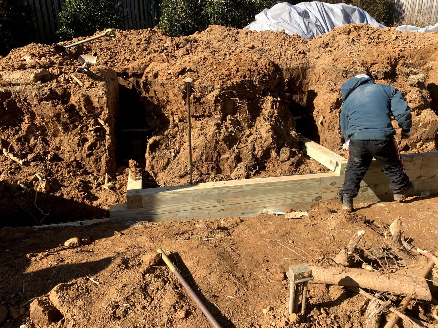 Tree Stump Removal: Your Options and What Actually Works