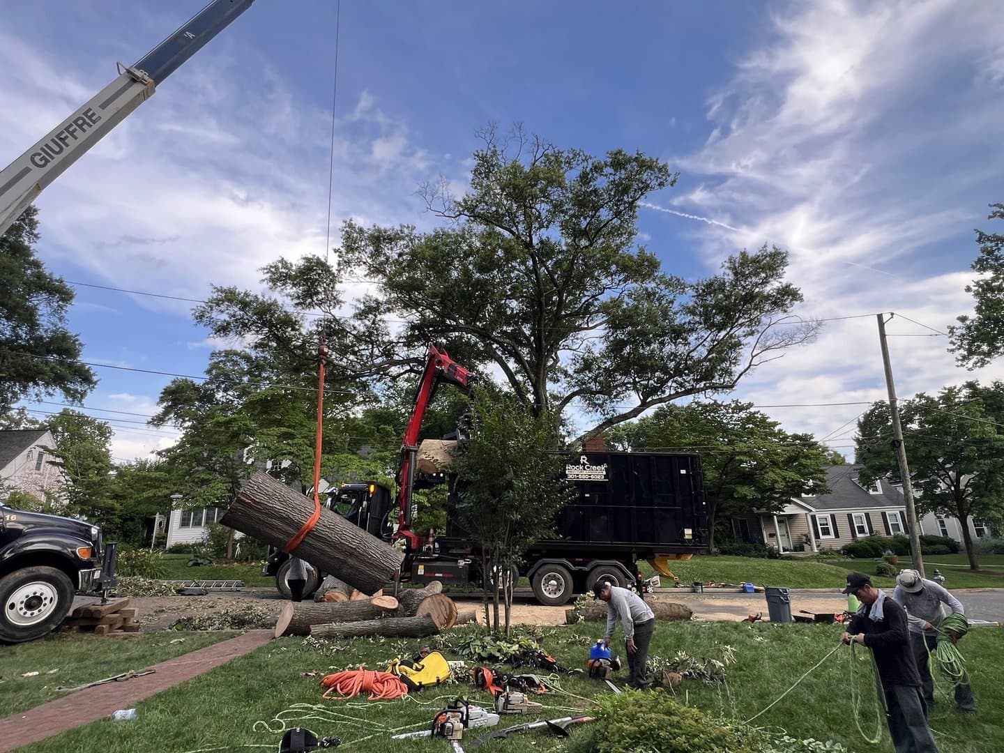 Crane-assisted tree removal on a residential street in Montgomery County, Maryland, where there was no room to lower limbs conventionally.