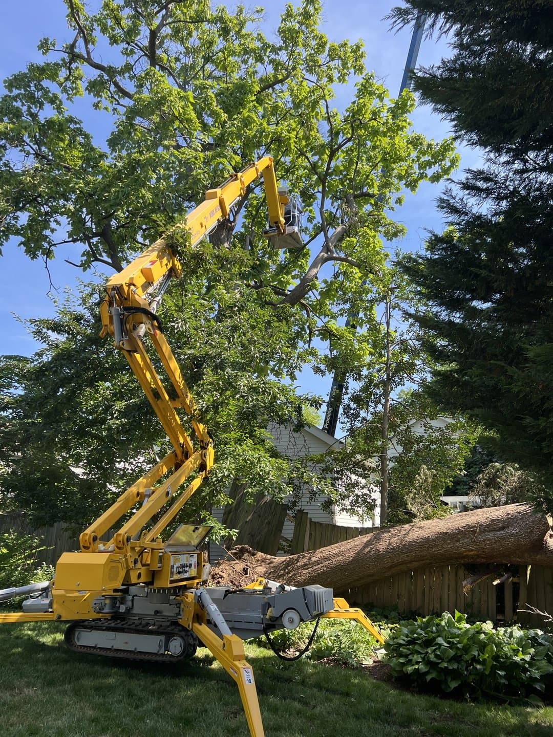 A tracked spider lift set up on a lawn with its outriggers extended, working a tree beside a fallen trunk that has flattened a fence