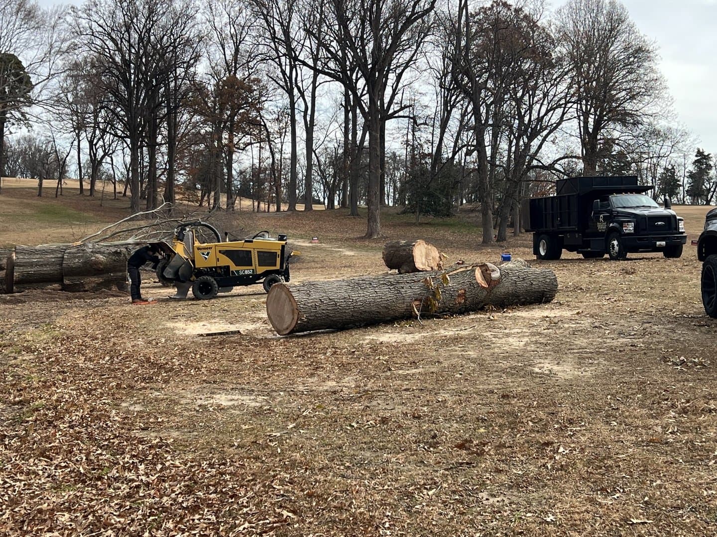 A Rock Creek crew clearing overgrown stems and brush from a property edge in Montgomery County