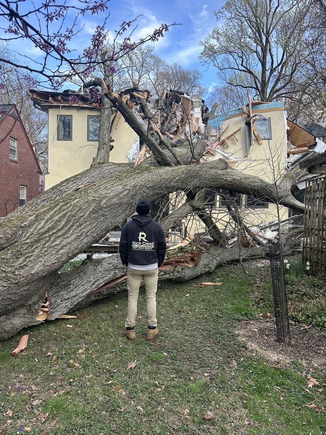 A Rock Creek team member standing beside the trunk of a very large fallen tree that has come down across a house