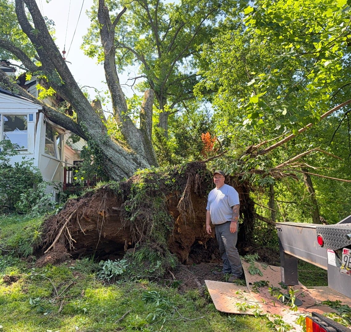 Is That Crack in My Tree Dangerous? How a Montgomery County Arborist Tells the Difference