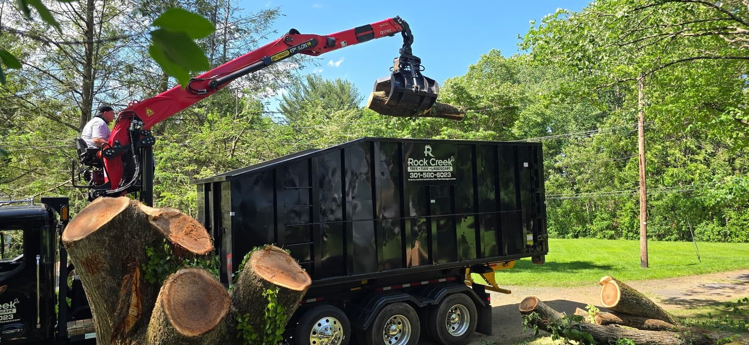 A Rock Creek grapple truck loading cut trunk sections from a gravel driveway, with the lawn alongside left undisturbed