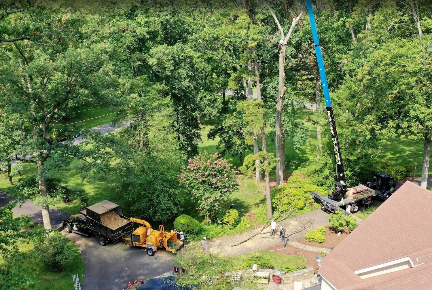 The Rock Creek crane truck set up on the driveway of a wooded Rockville property, boom extended into the tree line.