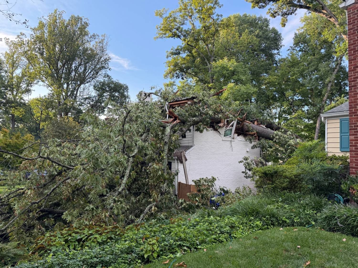 A large fallen oak across the roof of a white brick house in Wood Acres, Bethesda, with the roof structure broken open.