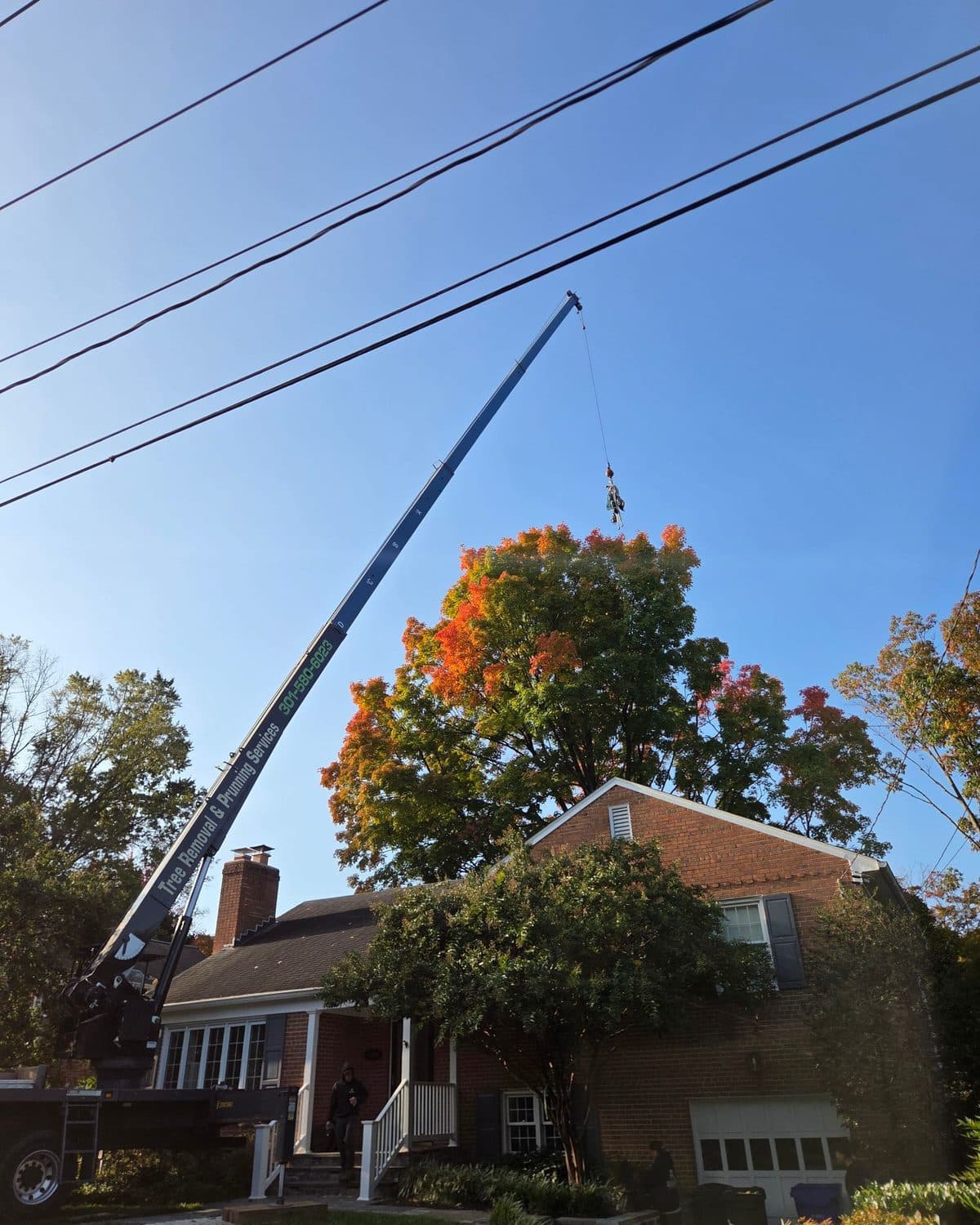 The crane’s boom extended at a steep angle over the brick house, with a climber suspended from the hook above the red maple’s orange and green canopy