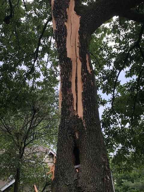 Storm Damage in Rockville and Olney: What to Check After Tuesday Night's Tornado Watch